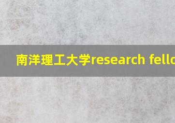 南洋理工大学research fellow